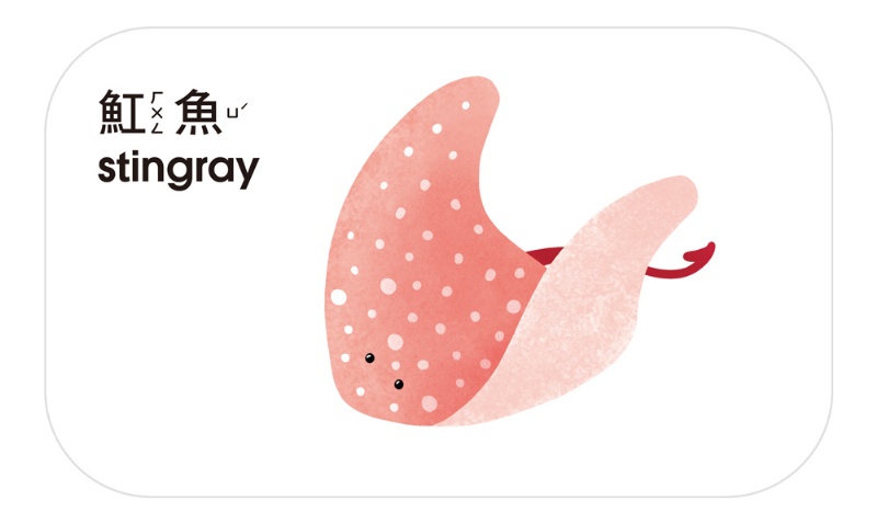 3歲早教卡：海洋動物（內含：21張早教卡+1片神奇膠片）